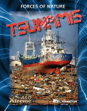 Tsunamis cover