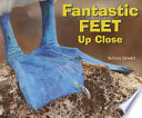 Fantastic Feet Up Close cover