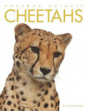 Cheetahs (Amazing Animals 2011) cover