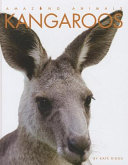 Kangaroos (Amazing Animals, 2012 Edition) cover