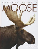 Moose (Amazing Animals, 2012 Edition) cover