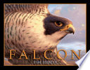Falcon cover