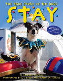 Stay: The True Story of Ten Dogs cover