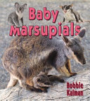 Baby Marsupials cover