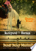 Chasing Dream cover