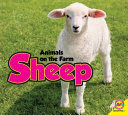 Sheep cover