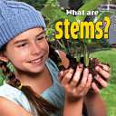 What Are Stems? cover
