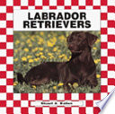 Labrador Retrievers cover
