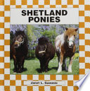 Shetland Ponies cover