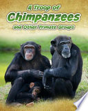 A Troop of Chimpanzees and Other Primate Groups cover