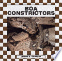 Boa Constrictors cover