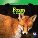 Foxes in the Dark cover