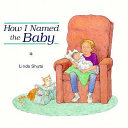 How I Named the Baby cover