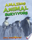 Amazing Animal Survivors cover
