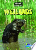 Wetlands cover