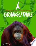 Orangutans cover