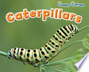 Caterpillars cover