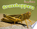 Grasshoppers cover
