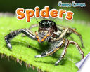 Spiders cover