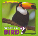 What's a Bird? cover