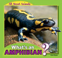 What's an Amphibian? cover
