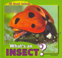 What's an Insect? cover