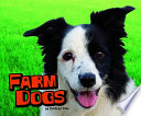 Farm Dogs cover