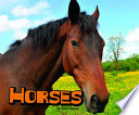 Horses cover