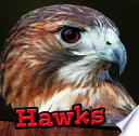 Hawks cover
