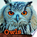 Owls cover