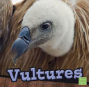 Vultures cover