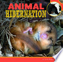 Animal Hibernation cover