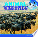 Animal Migration cover