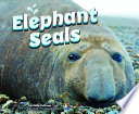 Elephant Seals cover