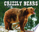 Grizzly Bears (North American Animals) cover
