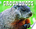 Groundhogs cover