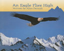 An Eagle Flies High cover
