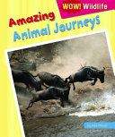 Amazing Animal Journeys cover