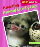 Amazing Animal Life Cycles cover