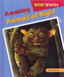 Amazing Animals at Night cover