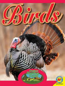 Birds cover
