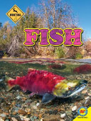 Fishing cover