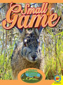 Small Game cover