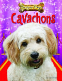 Cavachons cover