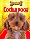 Cockapoos cover