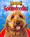 Goldendoodles cover