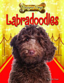 Labradoodles cover