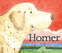 Homer cover