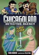 The Big Flush cover