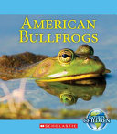 American Bullfrogs cover